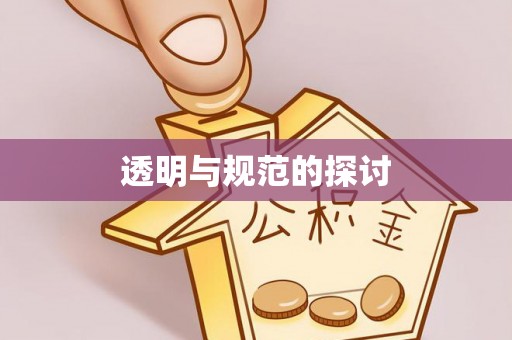 江陵透明与规范的探讨
