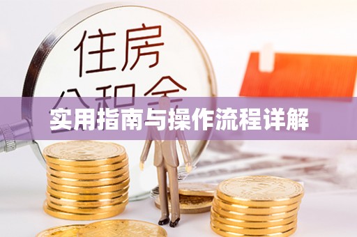 江陵实用指南与操作流程详解