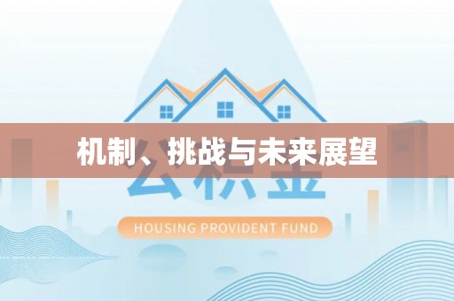 江陵机制、挑战与未来展望